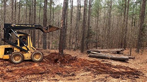 skid steer pushing trees|pushing over pine buckets.